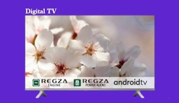 TV 32 Inch Toshiba